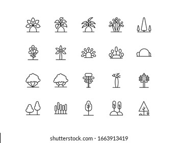 Tree Vector Line Icon Set. Naturally beautiful symbol, wooden trunk and outline branches for map. Tree vector outline art illustration isolated on white background.
