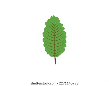Tree Vector Line Icon Set. Contains such Icons as Wood, Plant,  Cactus, Bamboo and more. Expanded Stroke. Trees silhouettes. Forest and park pines firs and spruces, coniferous and deciduous trees.