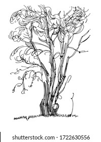 
Tree. Vector linear drawing of a tree for print, books, background, decoration, interior.