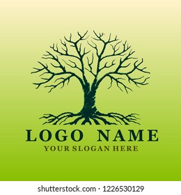 tree vector logo, illustration for trees