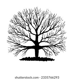 Tree Vector Minimal Hand Drawing Line Art 