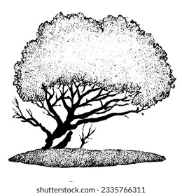 Tree Vector Minimal Hand Drawing Line Art 
