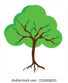 Tree vector for natural design, Tree illustartion