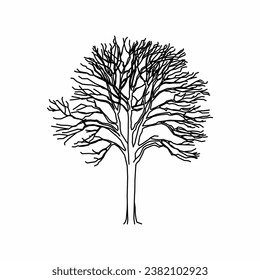 tree vector, tree nature, tree outline, tree icon