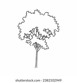 tree vector, tree nature, tree outline, tree icon