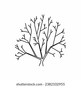 vector de árbol, naturaleza de árbol, contorno de árbol, icono de árbol