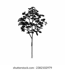 tree vector, tree nature, tree outline, tree icon