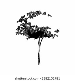 tree vector, tree nature, tree outline, tree icon