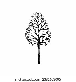 tree vector, tree nature, tree outline, tree icon