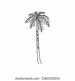 tree vector, tree nature, tree outline, tree icon