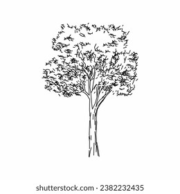 tree vector, tree nature, tree outline, tree icon