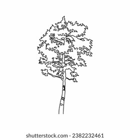 tree vector, tree nature, tree outline, tree icon