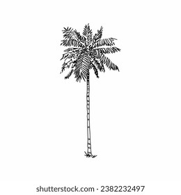 tree vector, tree nature, tree outline, tree icon