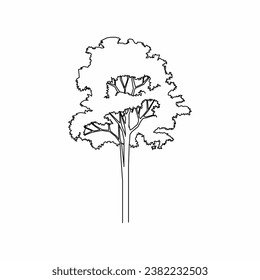 tree vector, tree nature, tree outline, tree icon