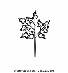 tree vector, tree nature, tree outline, tree icon