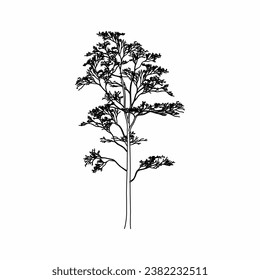 tree vector, tree nature, tree outline, tree icon