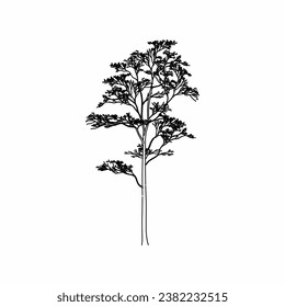 tree vector, tree nature, tree outline, tree icon