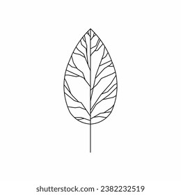 vector de árbol, naturaleza de árbol, contorno de árbol, icono de árbol
