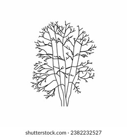 tree vector, tree nature, tree outline, tree icon
