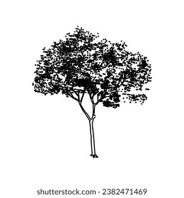 vector de árbol, naturaleza de árbol, contorno de árbol, icono de árbol, icono de planta, icono de planta