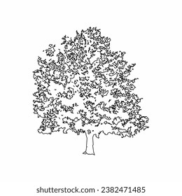 vector de árbol, naturaleza de árbol, contorno de árbol, icono de árbol, icono de planta, icono de planta