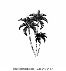 tree vector, tree nature, tree outline, tree icon, plant, plant icon