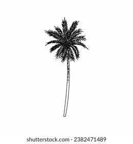 tree vector, tree nature, tree outline, tree icon, plant, plant icon