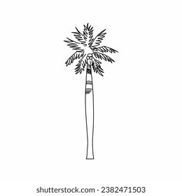 tree vector, tree nature, tree outline, tree icon, plant, plant icon
