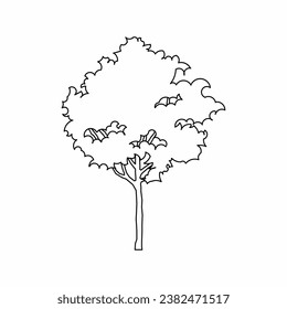tree vector, tree nature, tree outline, tree icon, plant, plant icon