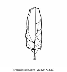 tree vector, tree nature, tree outline, tree icon, plant, plant icon