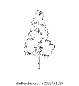 tree vector, tree nature, tree outline, tree icon, plant, plant icon
