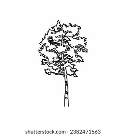 tree vector, tree nature, tree outline, tree icon, plant, plant icon
