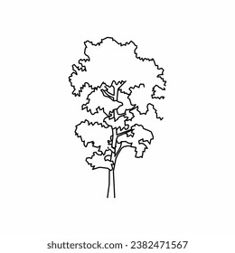 tree vector, tree nature, tree outline, tree icon, plant, plant icon