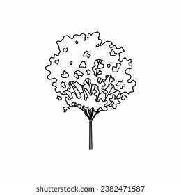 tree vector, tree nature, tree outline, tree icon, plant, plant icon