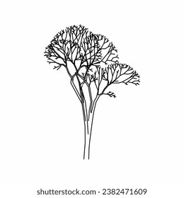 tree vector, tree nature, tree outline, tree icon, plant, plant icon