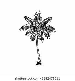 tree vector, tree nature, tree outline, tree icon, plant, plant icon