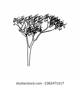 tree vector, tree nature, tree outline, tree icon, plant, plant icon