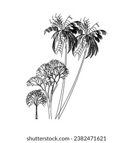 tree vector, tree nature, tree outline, tree icon, plant, plant icon