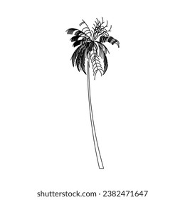 tree vector, tree nature, tree outline, tree icon, plant, plant icon