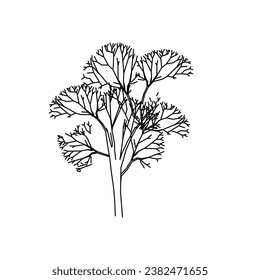 vector de árbol, naturaleza de árbol, contorno de árbol, icono de árbol, icono de planta, icono de planta