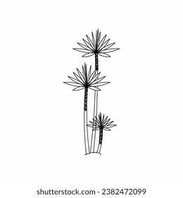 tree vector, tree nature, tree outline, tree icon, plant, plant icon