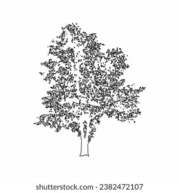 vector de árbol, naturaleza de árbol, contorno de árbol, icono de árbol, icono de planta, icono de planta