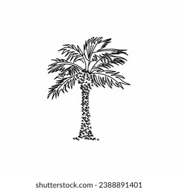 tree vector, tree nature, tree outline, tree icon, plant, plant icon