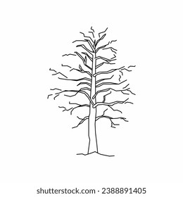 tree vector, tree nature, tree outline, tree icon, plant, plant icon