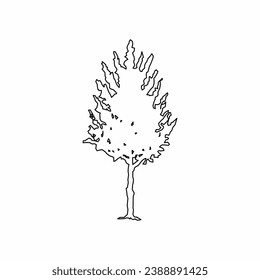 tree vector, tree nature, tree outline, tree icon, plant, plant icon
