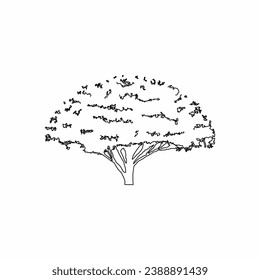 tree vector, tree nature, tree outline, tree icon, plant, plant icon