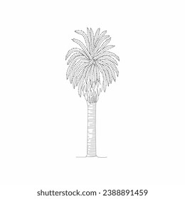 vector de árbol, naturaleza de árbol, contorno de árbol, icono de árbol, icono de planta, icono de planta