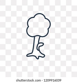 Tree vector outline icon isolated on transparent background, high quality linear Tree transparency concept can be used web and mobile