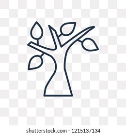 Tree vector outline icon isolated on transparent background, high quality linear Tree transparency concept can be used web and mobile
