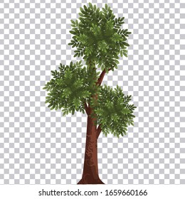 Tree vector painting isolated on transparent background.